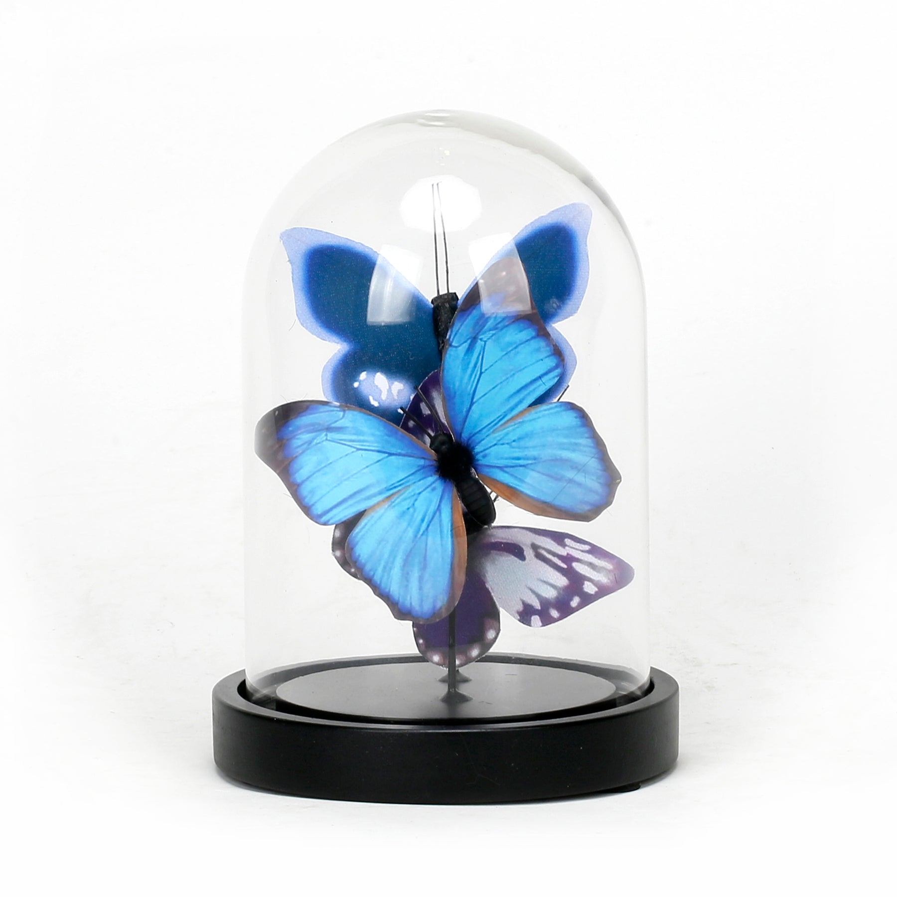 Glass Dome with Artificial Decorative Butterflies